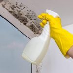 Mold Removal Tips